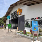 Elephant Parade Land