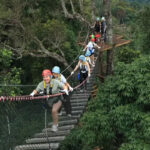 Kingkong Smile Zipline