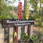 Maerim Elephant Sanctuary