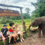 Pon Elephant Thailand