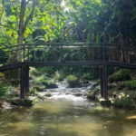 Pong Nam Dang National Park